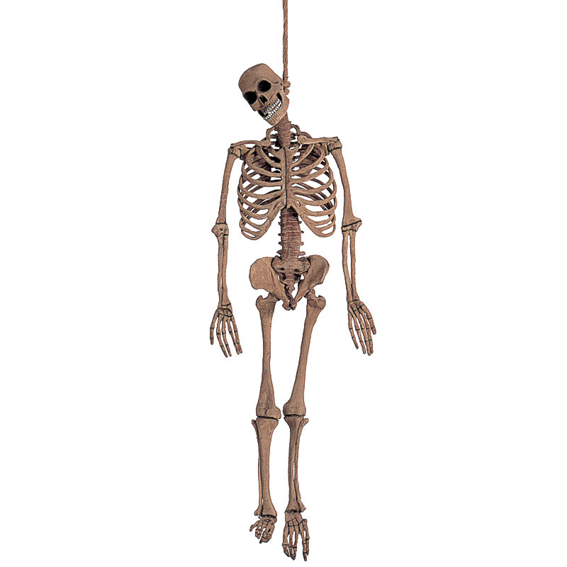 150cm(5ft)ラテックス スケルトン