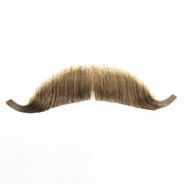 EUROPEAN MOUSTACHE