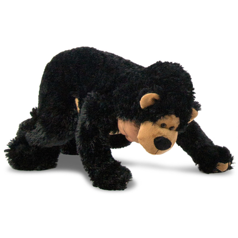 Baby Bear Cub