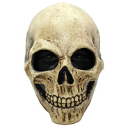 Bone Skull